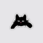 Peek-a-Paw Curious Cat Sticker